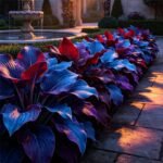 The Full Collection — All 7 Varieties, 28 Bulbs